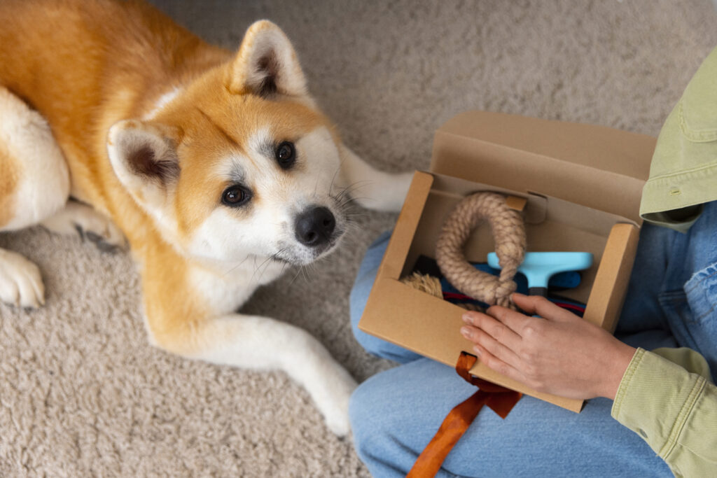 Tips voor verhuizen met een hond